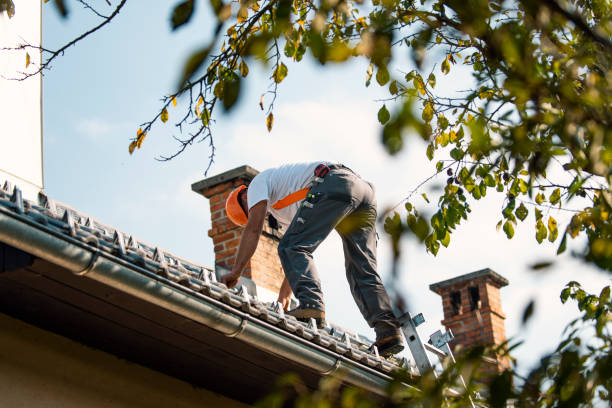 Best Roof Coating and Sealing  in Crainvle, IL