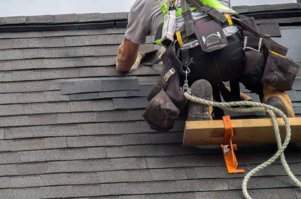 Best Chimney Flashing Repair  in Crainvle, IL