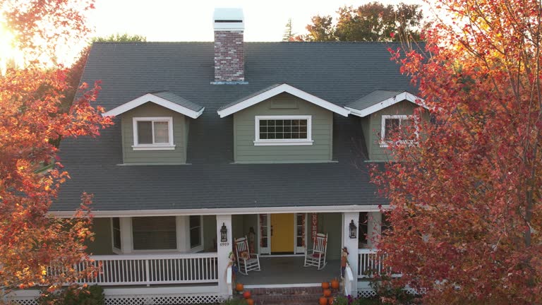 Best Roof Maintenance and Cleaning  in Crainvle, IL