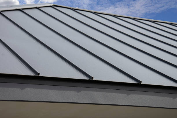 Best Roof Waterproofing  in Crainvle, IL
